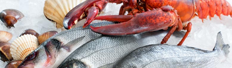 1- El uso del hielo en el tratamiento del pescado fresco